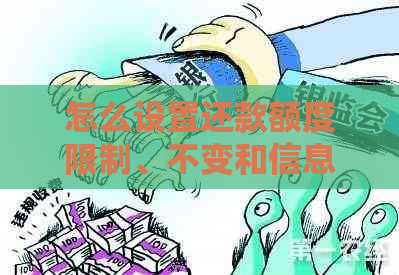 怎么设置还款额度限制、不变和信息，以及调整还款顺序选项