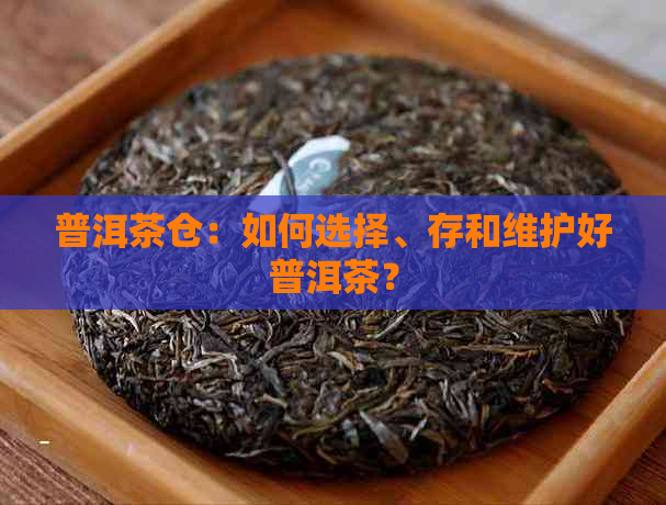 普洱茶仓：如何选择、存和维护好普洱茶？