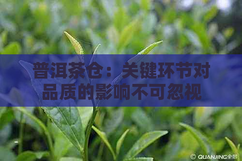 普洱茶仓：关键环节对品质的影响不可忽视