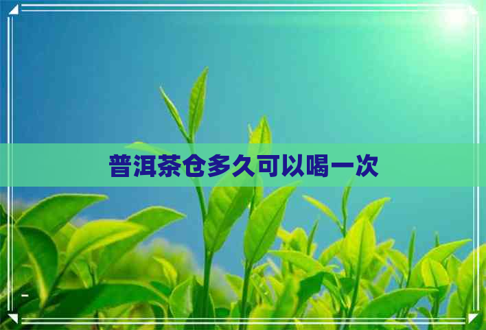 普洱茶仓多久可以喝一次