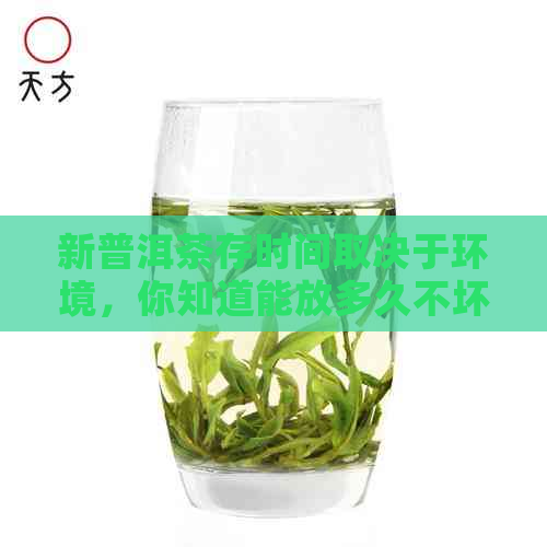 新普洱茶存时间取决于环境，你知道能放多久不坏吗？