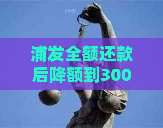 浦发全额还款后降额到3000:应对措及影响分析