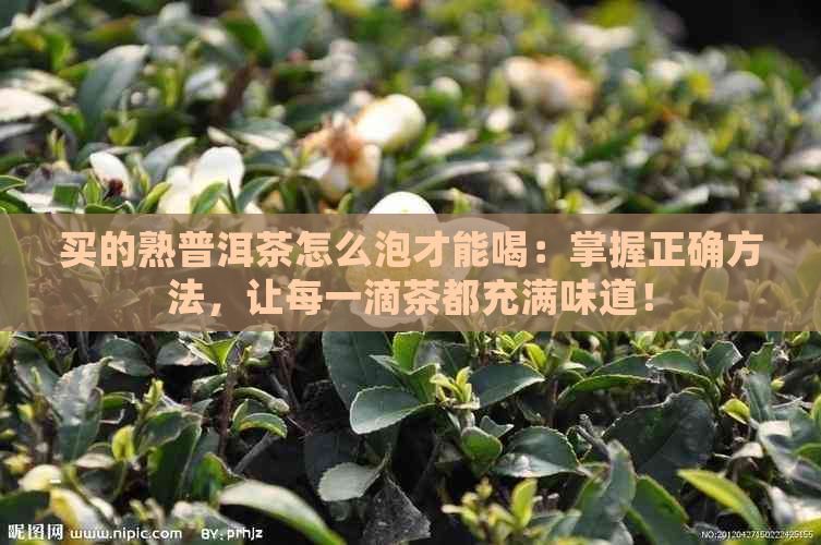 买的熟普洱茶怎么泡才能喝：掌握正确方法，让每一滴茶都充满味道！