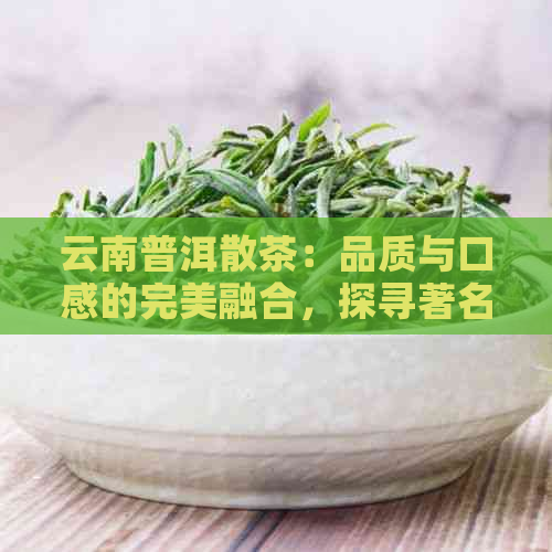 云南普洱散茶：品质与口感的完美融合，探寻著名与特色口味