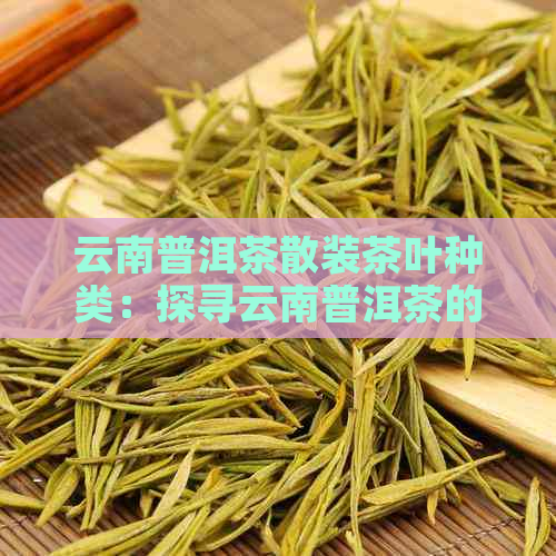 云南普洱茶散装茶叶种类：探寻云南普洱茶的多样化风貌