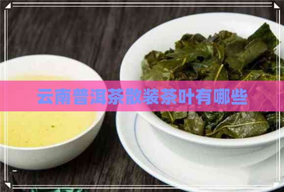 云南普洱茶散装茶叶有哪些