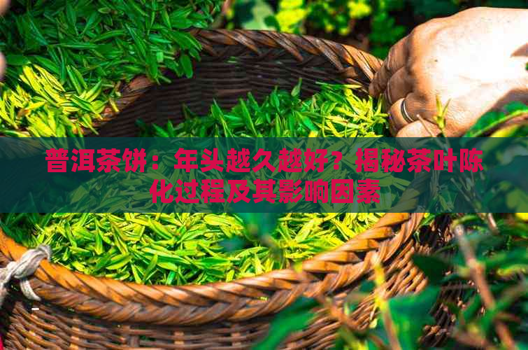 普洱茶饼：年头越久越好？揭秘茶叶陈化过程及其影响因素