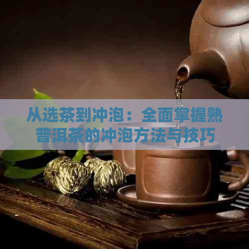 从选茶到冲泡：全面掌握熟普洱茶的冲泡方法与技巧