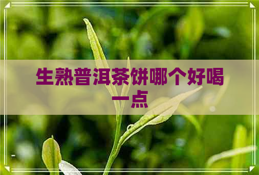 生熟普洱茶饼哪个好喝一点