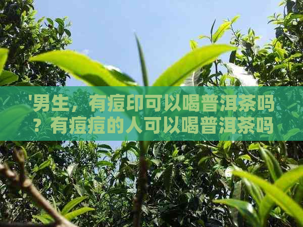 '男生，有痘印可以喝普洱茶吗？有痘痘的人可以喝普洱茶吗？'