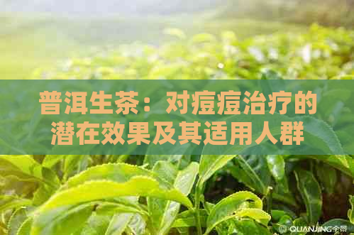 普洱生茶：对痘痘治疗的潜在效果及其适用人群