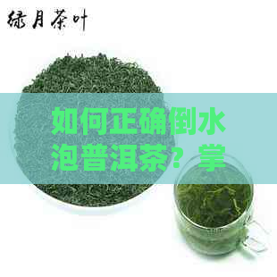 如何正确倒水泡普洱茶？掌握这些技巧让喝茶更美味！