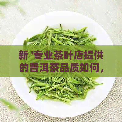 新 '专业茶叶店提供的普洱茶品质如何，安全性有保障吗？'