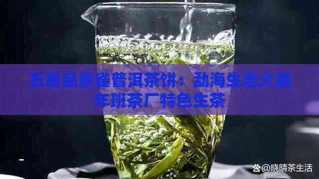 五星品质雀普洱茶饼：勐海生态大益年班茶厂特色生茶