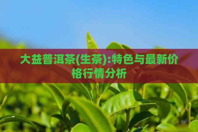 大益普洱茶(生茶):特色与最新价格行情分析