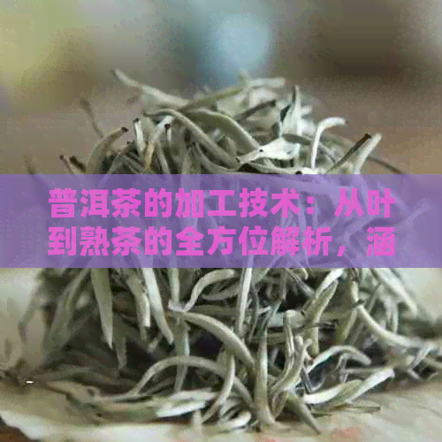 普洱茶的加工技术：从叶到熟茶的全方位解析，涵六大类茶叶