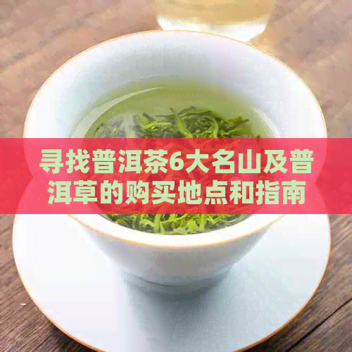 寻找普洱茶6大名山及普洱草的购买地点和指南，一站式解决您的问题！