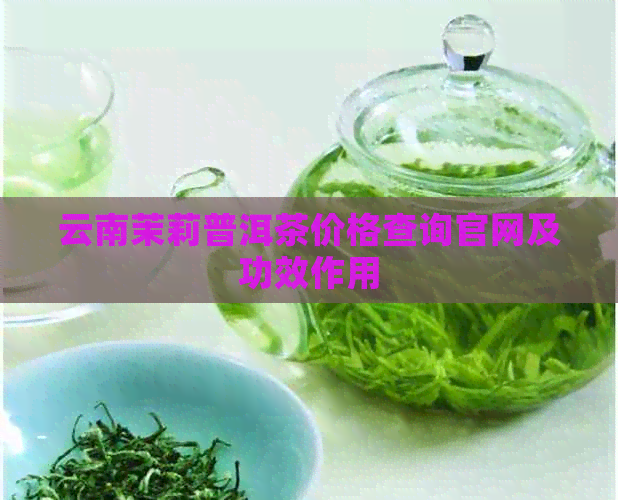 云南茉莉普洱茶价格查询官网及功效作用