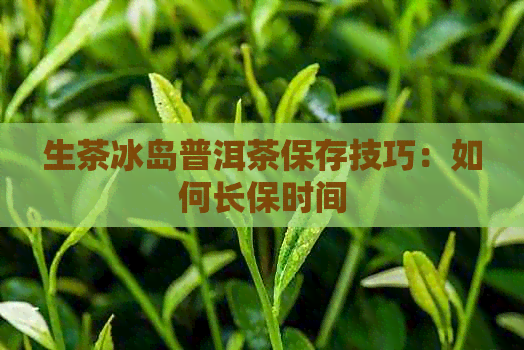 生茶冰岛普洱茶保存技巧：如何长保时间