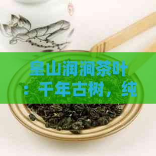 皇山润涧茶叶：千年古树，纯正口感，王者归来，重新定义茶界传奇