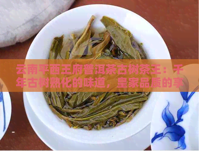 云南平西王府普洱茶古树茶王：千年古树熟化的味道，皇家品质的享受