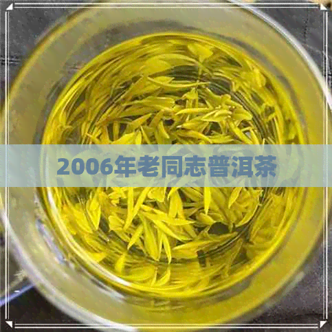 2006年老同志普洱茶