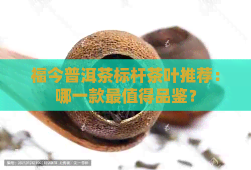 福今普洱茶标杆茶叶推荐：哪一款最值得品鉴？