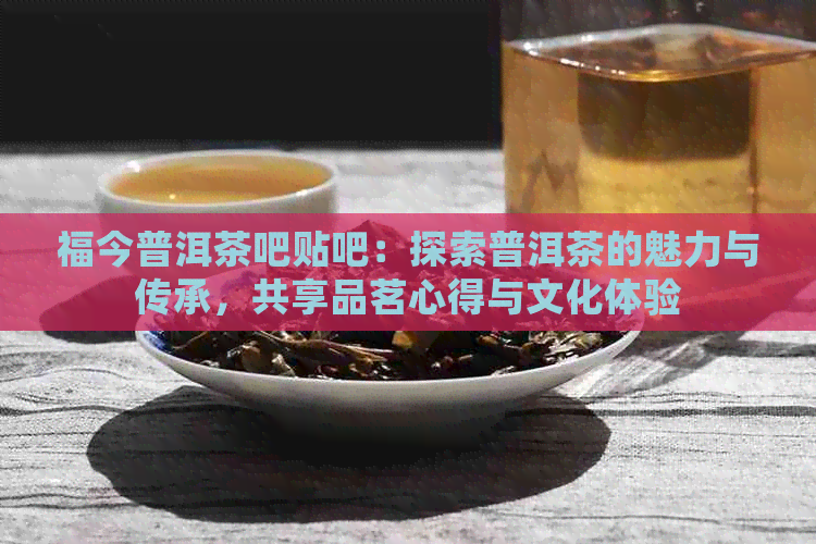 福今普洱茶吧贴吧：探索普洱茶的魅力与传承，共享品茗心得与文化体验