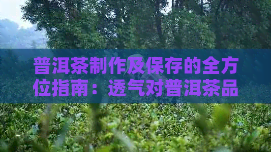 普洱茶制作及保存的全方位指南：透气对普洱茶品质的影响及相关建议