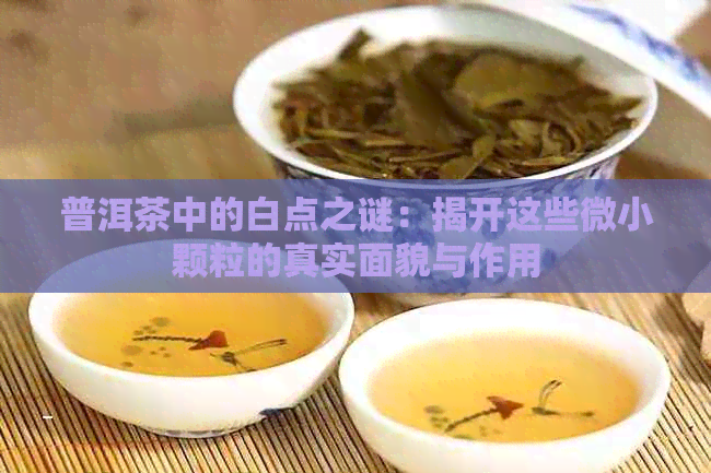 普洱茶中的白点之谜：揭开这些微小颗粒的真实面貌与作用