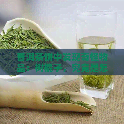 普洱茶饼中发现奇怪物品：树棍子，究竟是怎么回事？