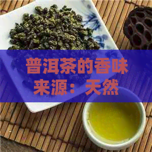 普洱茶的香味来源：天然还是人工添加？揭秘普洱茶真实的香气成分