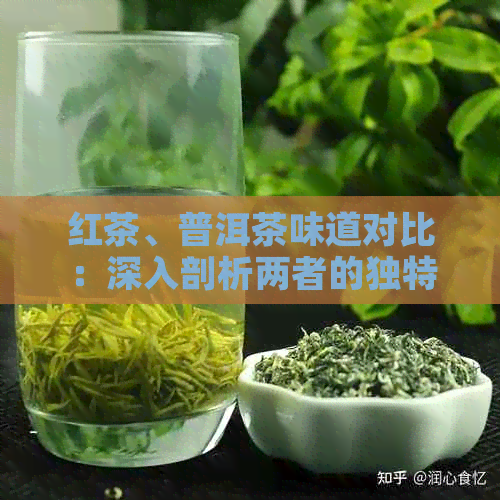 红茶、普洱茶味道对比：深入剖析两者的独特风味及其原因