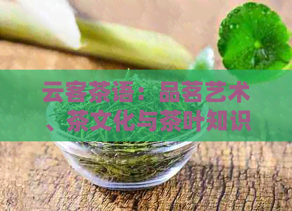 云客茶语：品茗艺术、茶文化与茶叶知识全面解析