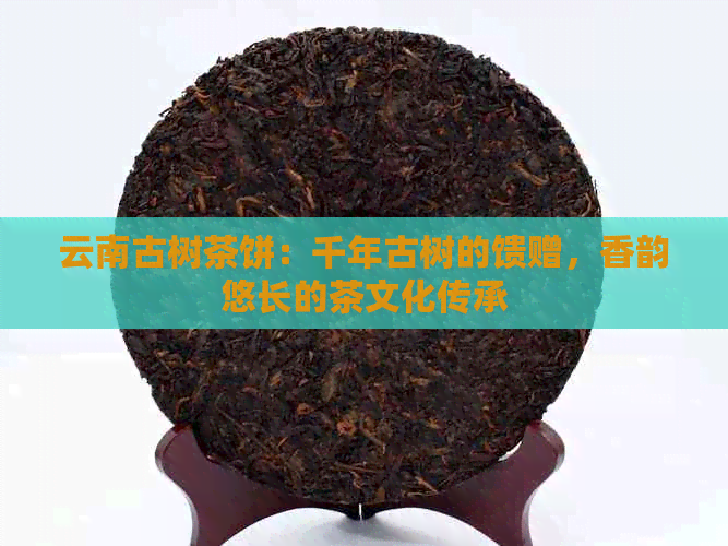 云南古树茶饼：千年古树的馈赠，香韵悠长的茶文化传承