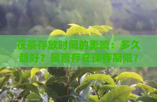 茯茶存放时间的影响：多久越好？是否存在保存期限？