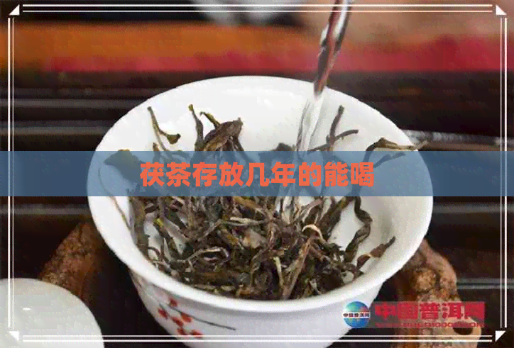 茯茶存放几年的能喝