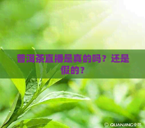 普洱茶直播是真的吗？还是假的？