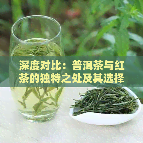 深度对比：普洱茶与红茶的独特之处及其选择指南