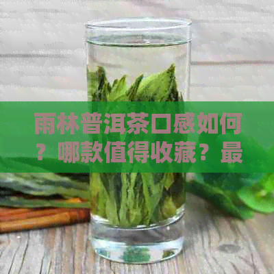 雨林普洱茶口感如何？哪款值得收藏？最新报价是多少？