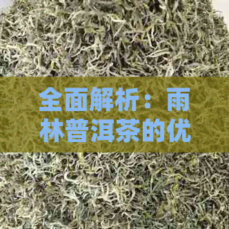 全面解析：雨林普洱茶的优劣势及其适合饮用的人群