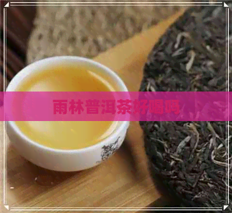 雨林普洱茶好喝吗