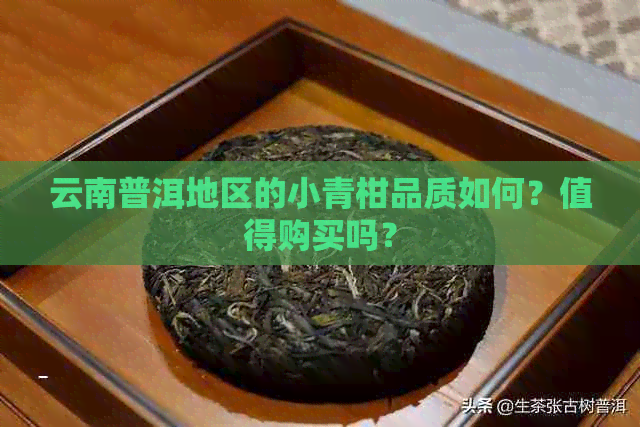 云南普洱地区的小青柑品质如何？值得购买吗？