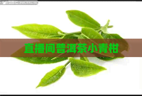 直播间普洱茶小青柑