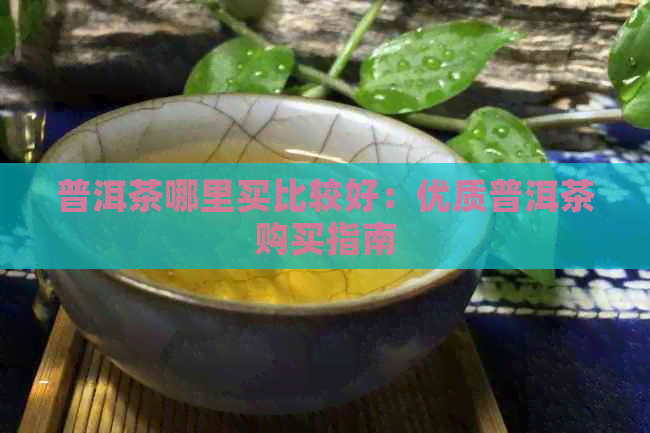 普洱茶哪里买比较好：优质普洱茶购买指南