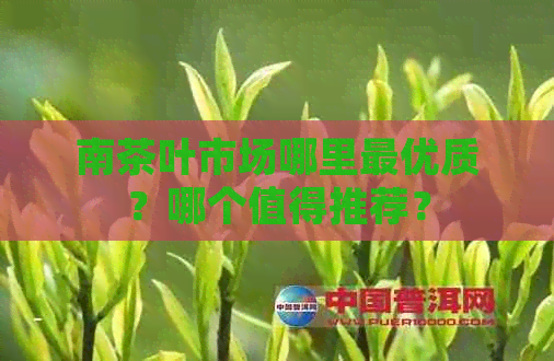 南茶叶市场哪里更优质？哪个值得推荐？