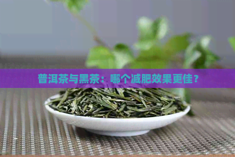 普洱茶与黑茶：哪个减肥效果更佳？