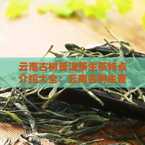 云南古树普洱茶生茶特点介绍大全：云南古树生普洱茶的功效与价格