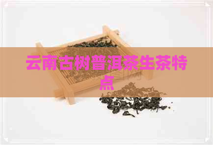 云南古树普洱茶生茶特点