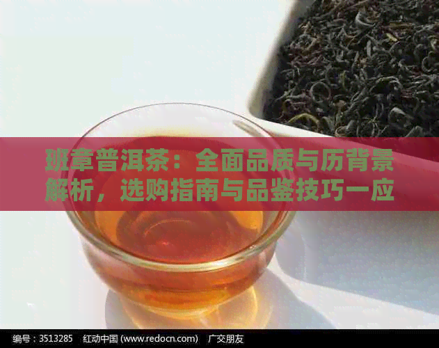 班章普洱茶：全面品质与历背景解析，选购指南与品鉴技巧一应俱全